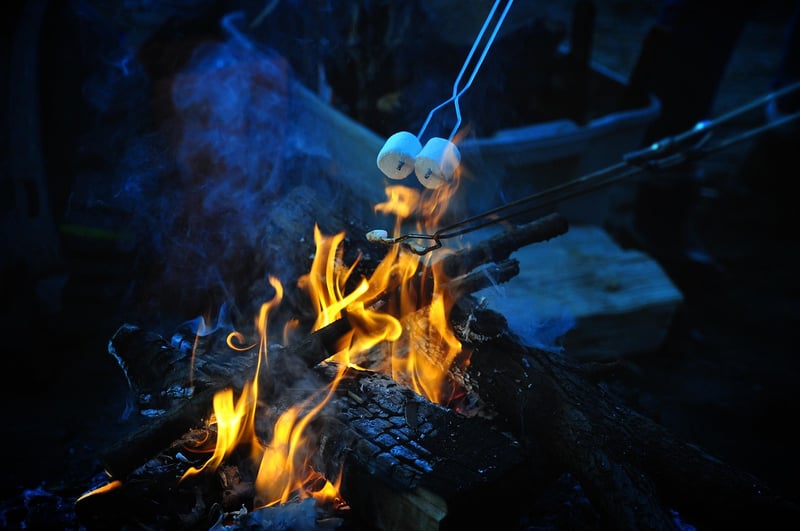 Campfire Cooking