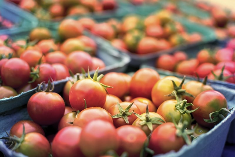 Farm-to-Table Freshness